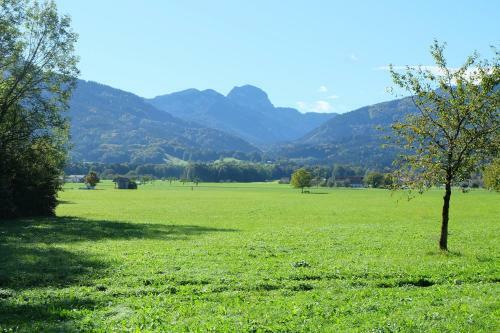 Apartamento Am Jenbach