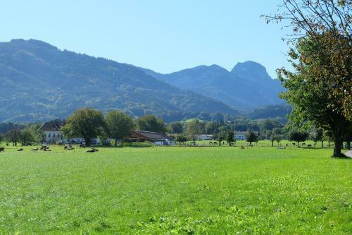 Apartamento Am Jenbach