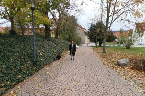 Apartment Am Kurpark