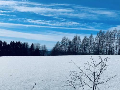 Bergstadth�tte Harz