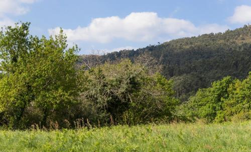Apartamentos Rurales De Abelleira