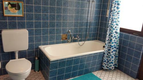 Posada Landgasthof Gr�ner Baum