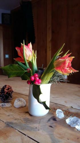 Posada Landgasthof Gr�ner Baum