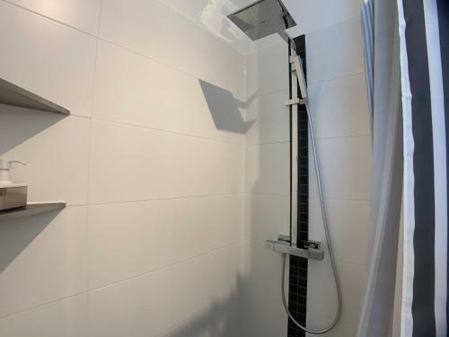 Apartamento Penthousewohnung "goldsteinkoje"