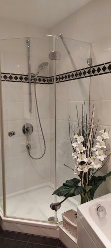 Apartamentos Arwilere