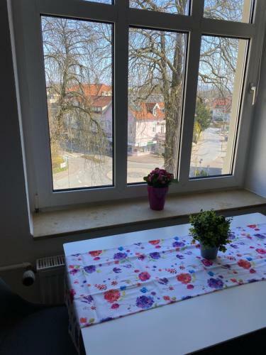 Apartamento Ferienwohnung Am Kurpark In Bad Rothenfelde