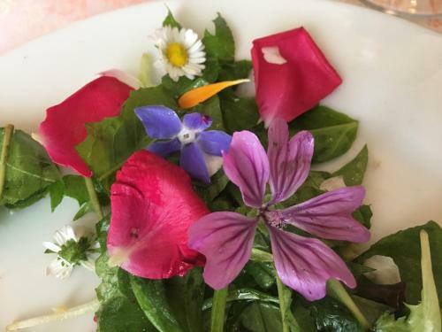Farmhouse B&B Il Paretaio