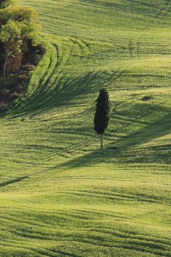 Farmhouse B&B Il Paretaio