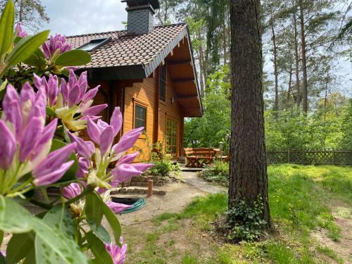 Waldhaus Eichh�rnchen