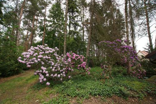 Waldhaus Eichh�rnchen