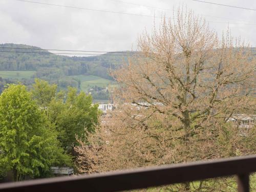 Apartamento Ferienwohnung Schneckenhalde