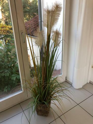 Apartamento Ferienimspessart Eg