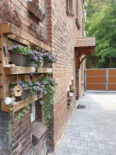 Tiny Haus Wolkenlos