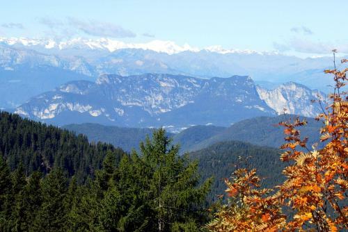 Agroturismo Maso La Vecchia Quercia