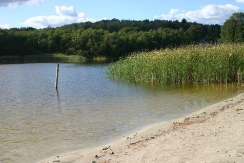 Apartamento Ferienwohnung Am See 55