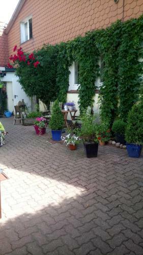 G�stehaus Langhals