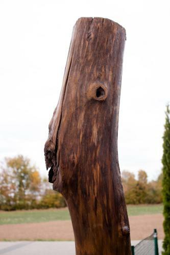 Art & Nature Apartments In Der N�he Ffm-messe