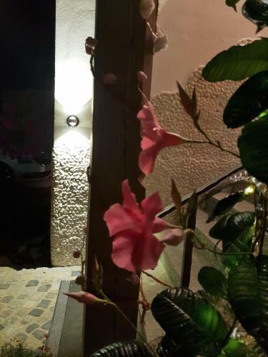 Apartamentos Chalet Bad T�lz