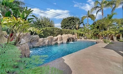 California Palm Tree Oasis - True Socal Experience