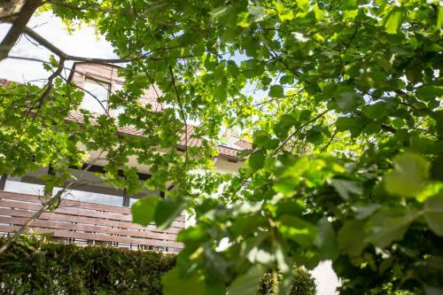 Apartamento Ferienhaus Vier Jahreszeiten