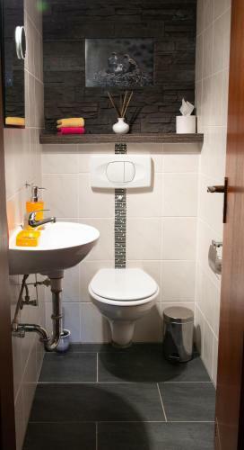 Apartamento Der Falkenhorst