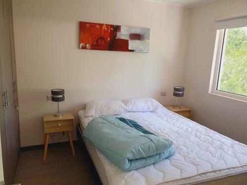 Apartamento Puc�n Andino