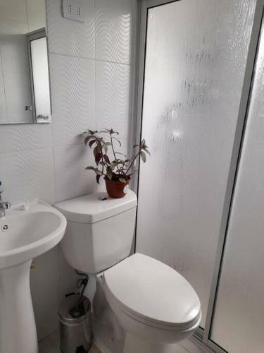 Apartamento Departamento En Valdivia
