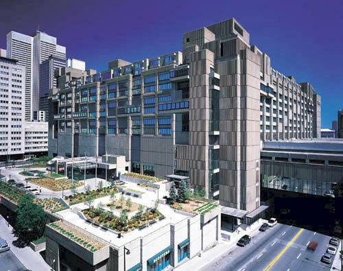 Hotel Hilton Montreal Bonaventure