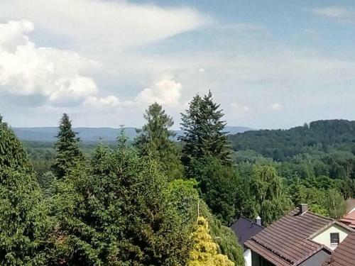 Apartment Jagdschl�sschen, Bad Sachsa