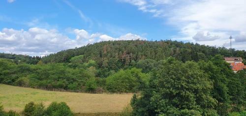 Apartamento Ferienwohnung Waldblick