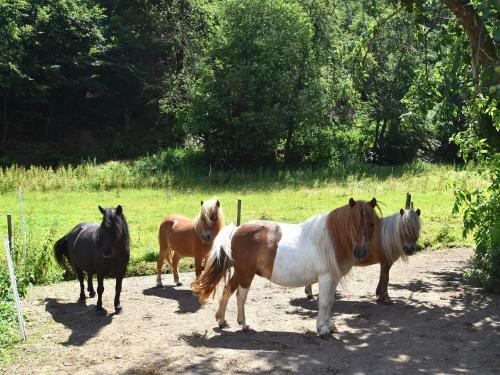 Combined Group Accommodation On A Farm Bordering On The Kellerwaldsteig
