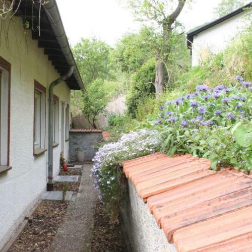 Apartamento Zeitraum Fewo