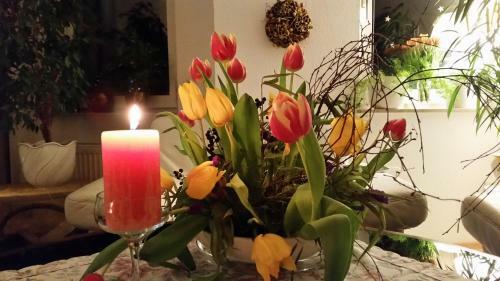 Apartamento Ferienwohnung Altenau