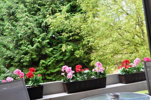 Apartamento Domizil Orchidee - Mit Wlan