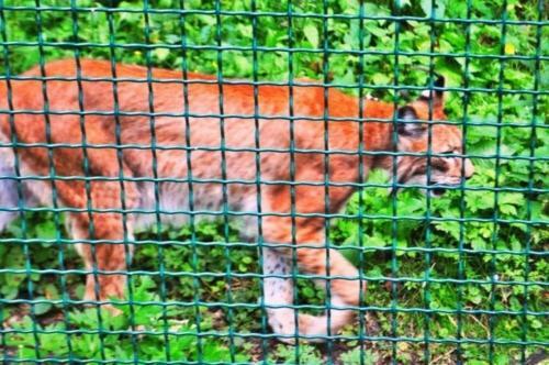 Apartamento Harz De Luchs