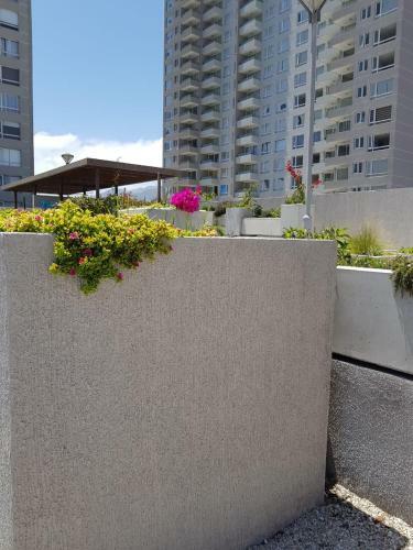 Apartamento Hermoso Departamento Con Vista Al Mar