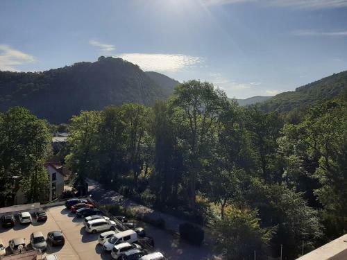 Apartamento Ferienwohnung Harzmonie