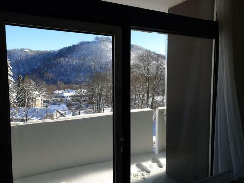 Apartamento Ferienwohnung Harzmonie
