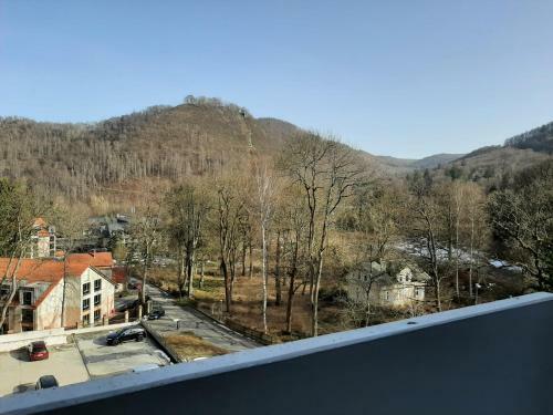 Apartamento Ferienwohnung Harzmonie