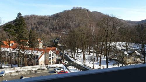Apartamento Ferienwohnung Harzmonie