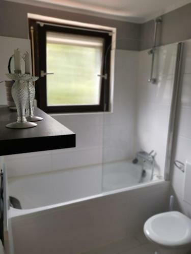Apartamento Harzstern Bungalow Studio Mit Garten