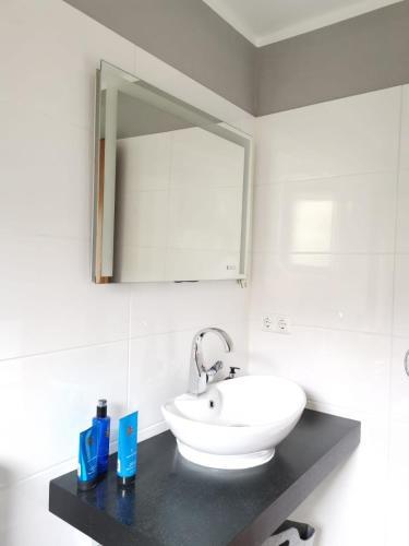 Apartamento Harzstern Bungalow Studio Mit Garten