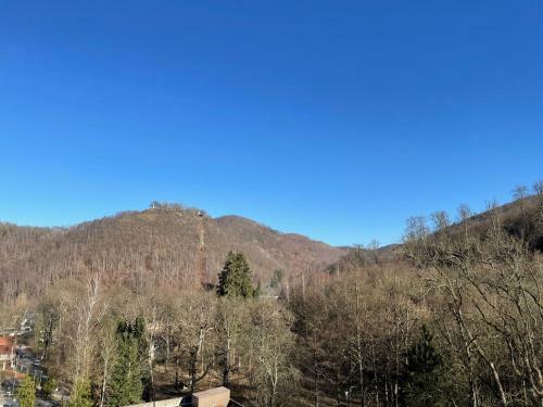 Apartamento Eulenh�hle