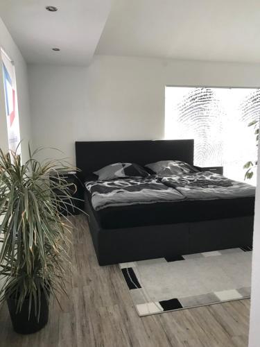Apartamento Jeannette