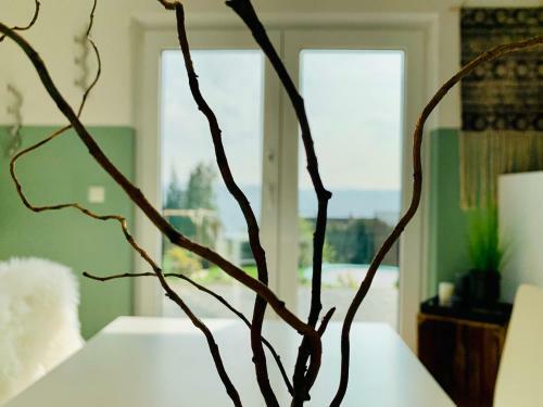 Apartamento Ferienwohnung Oberwinter