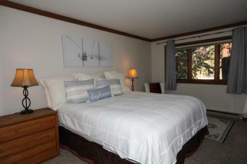 Mountainback #50, Pet Friendly