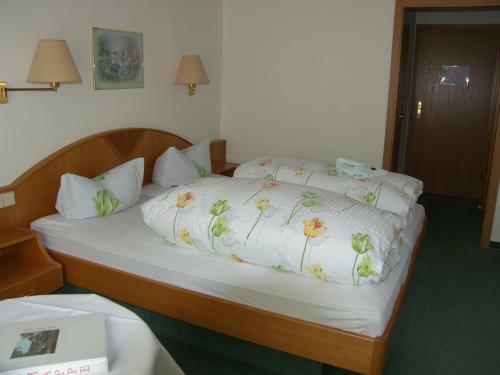 Hostal Hotel Adler Post