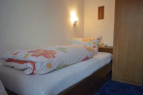 Hostal Hotel Adler Post