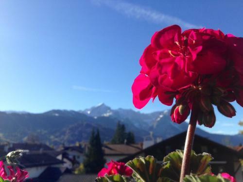 Apartamento Ferienwohnung Gru� Aus Partenkirchen