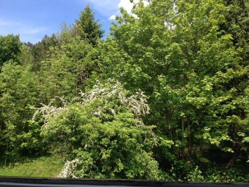Apartamento Ferienwohnung Gru� Aus Partenkirchen